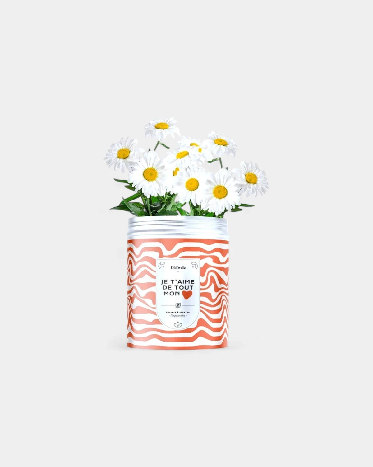 Kits de graines à planter personnalisable - 1